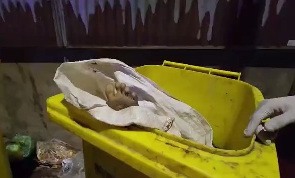 清潔員一度以為在垃圾桶裡有女屍,嚇壞不少人。(翻自brighttv.co.th)