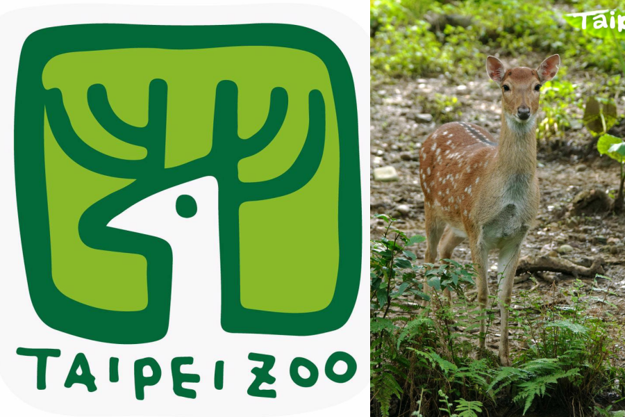 台北市立動物園的園徽是梅花鹿,不過許多民眾都不知道為什麼。(翻攝自Taipei Zoo 臺北市立動物園臉書)