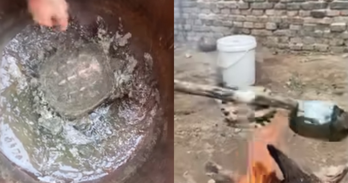 中國一名飼主看到寵物龜結成冰，竟用火烤方式解凍。（翻攝自星視頻biliblil）