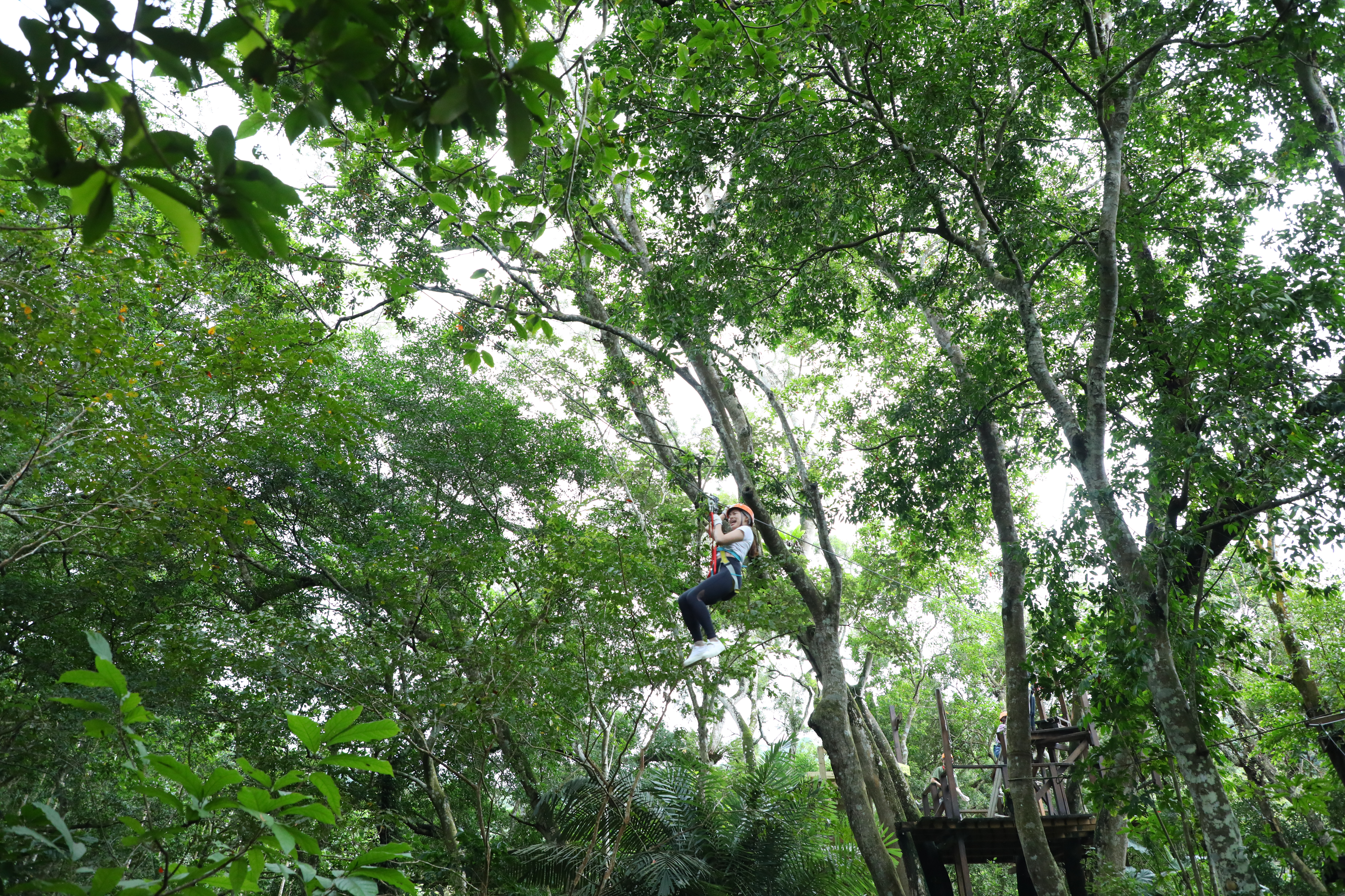 「野猴子探險森林」位在花蓮縣壽豐鄉，居於海岸山脈北端，有多項探險設施，可靠著滑索飛越整座叢林。 