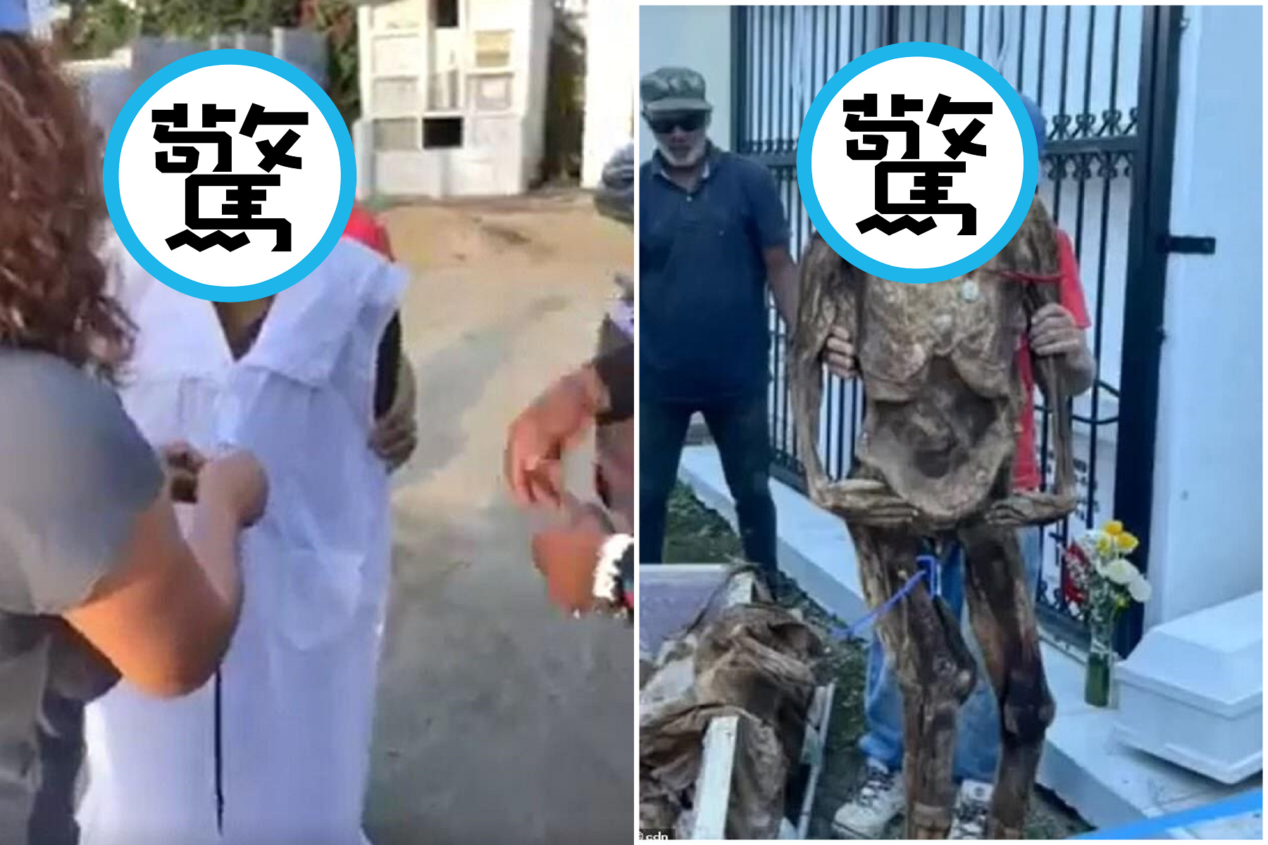 正港趕屍！阿嬤去世10年「復活」，肉體完好還能站立。（翻自《每日郵報》）