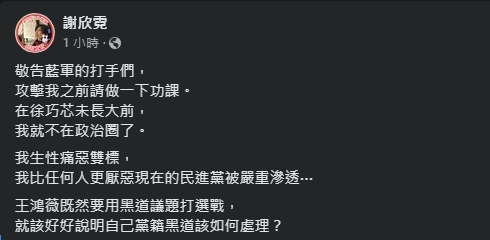 謝欣霓昨暗諷王鴻薇遭恐嚇是藍營自導自演，結果嫌犯落網後至今仍未道歉。（翻攝自謝欣霓臉書）