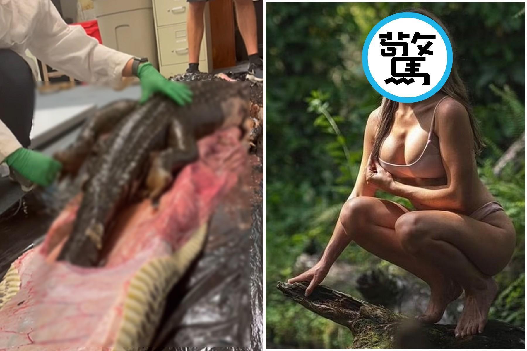 驚!女科學家徒手抓鱷魚、剖蟒蛇,本尊竟是巨乳正妹。(翻自《每日星報》)