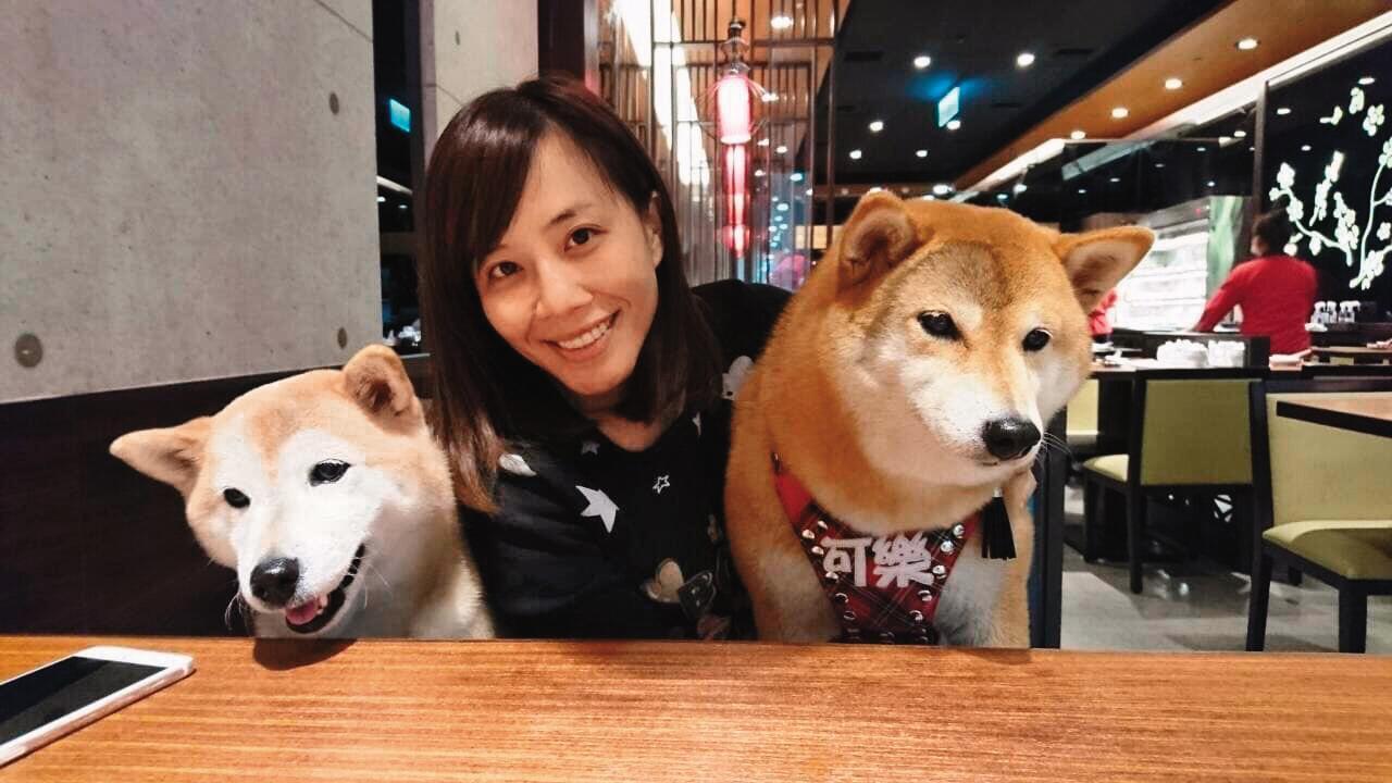 秦綾謙上一段婚姻並不平靜,如今終於替愛狗找到新任男主人廖科溢。(翻攝自秦綾謙臉書)