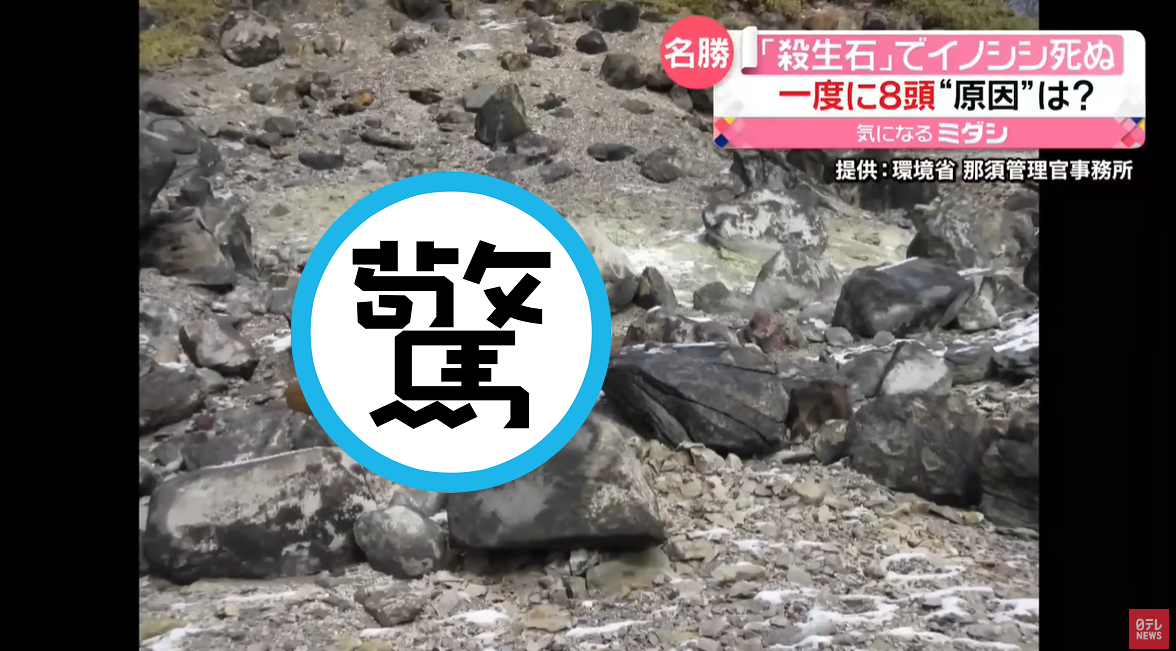 日本著名「殺生石」恐怖詛咒再現!「8死屍」橫躺現場,官方:不尋常。(翻自《日本電視台》YT)
