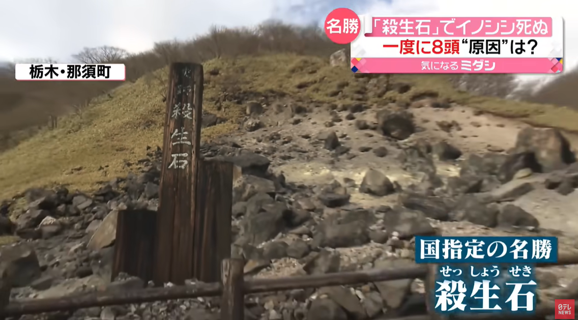 殺生石一直圍繞著許多詭異傳說。(翻自《日本電視台》YT)