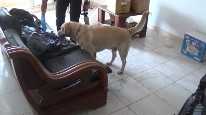 警方出動警犬到山區空屋搜索。(翻攝畫面)