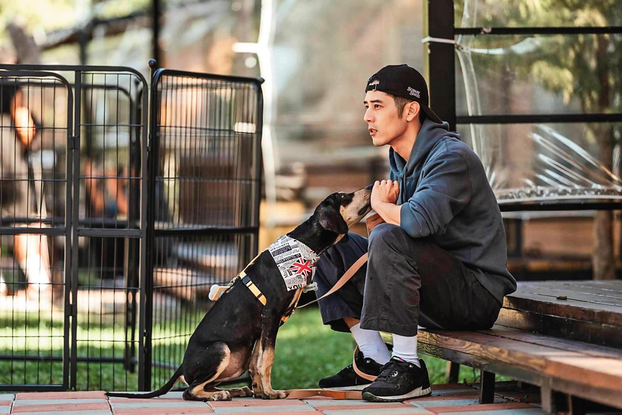 胡宇威在寵物實境秀《TOP DOG》中,擔任浪浪中途爸爸,為他們找家。(三立提供)