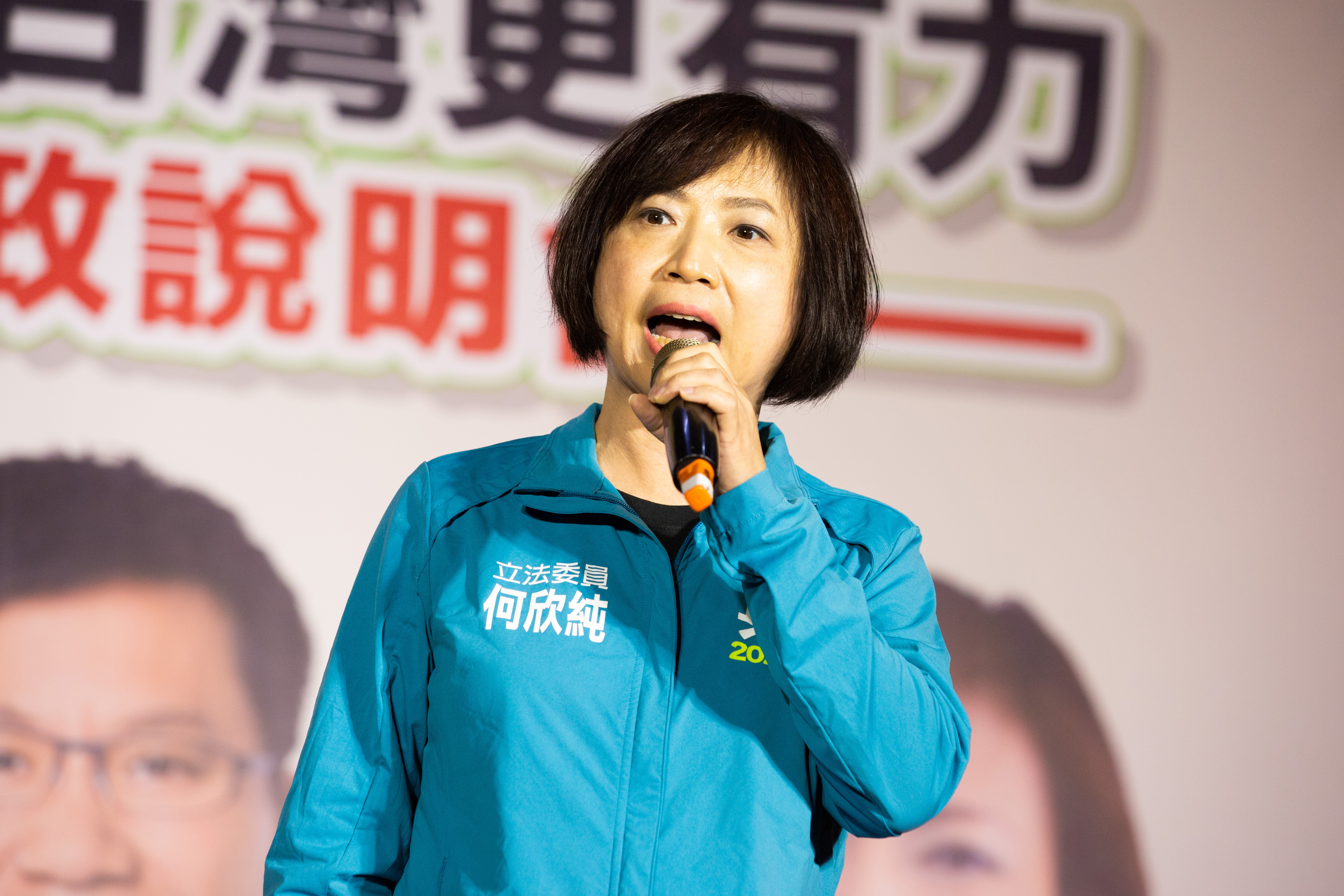 民進黨在嘉義市長選戰再度吞敗，綠委何欣純昨天於臉書po文，「結果再次告訴我們，沒有大破大立，就沒有大開大闔。我們的『檢討』到底是什麼？」（本刊資料照）