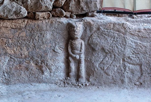 男子「自摸護蛋」，面對遭到兩頭花豹夾擊的處境。（翻自《每日星報》）