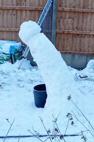 英國一名父親與孩子們在戶外堆雪人,結果隔天雪人融化的模樣連他自己都笑了。(翻攝自推特)