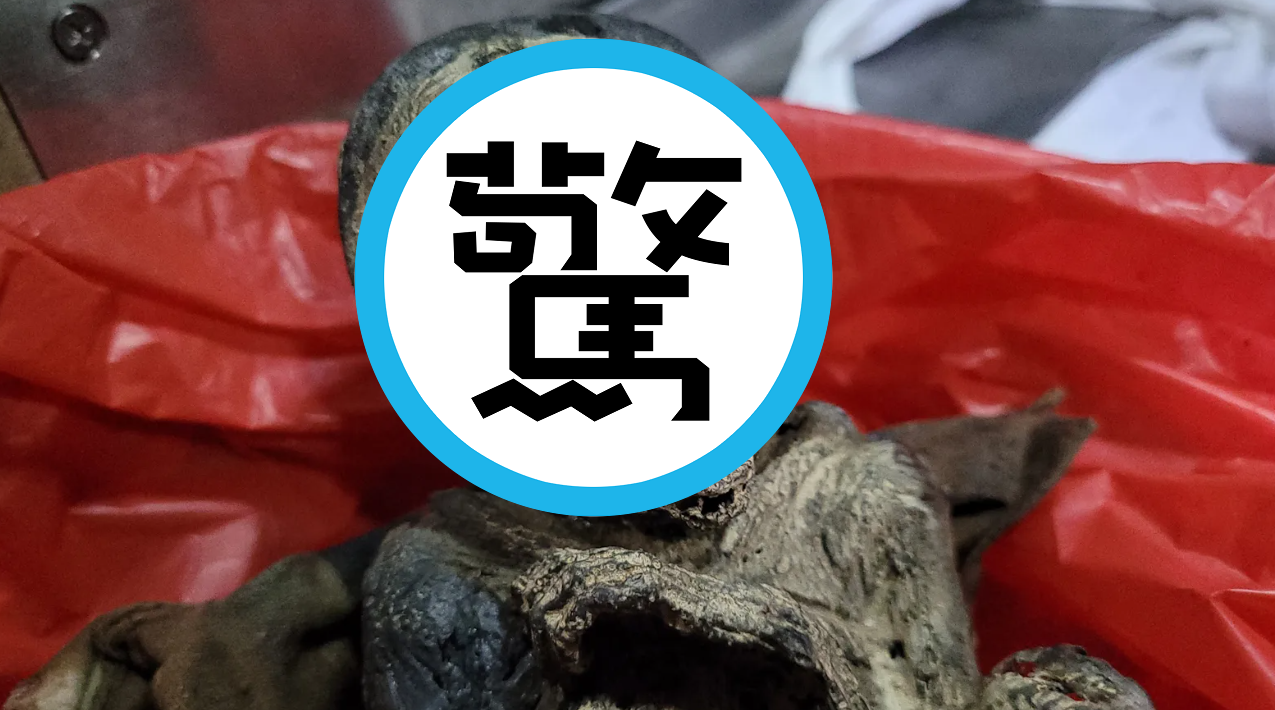 慎入!男去釣魚走進詛咒境界,驚見恐怖「嬰屍」與詭異神像。(翻自《Sanook》)