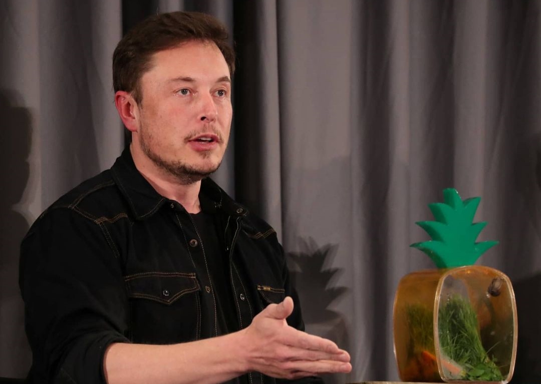 馬斯克則發推特說，他已為少部分人付費維持藍勾勾。（翻攝自elonmusk IG）