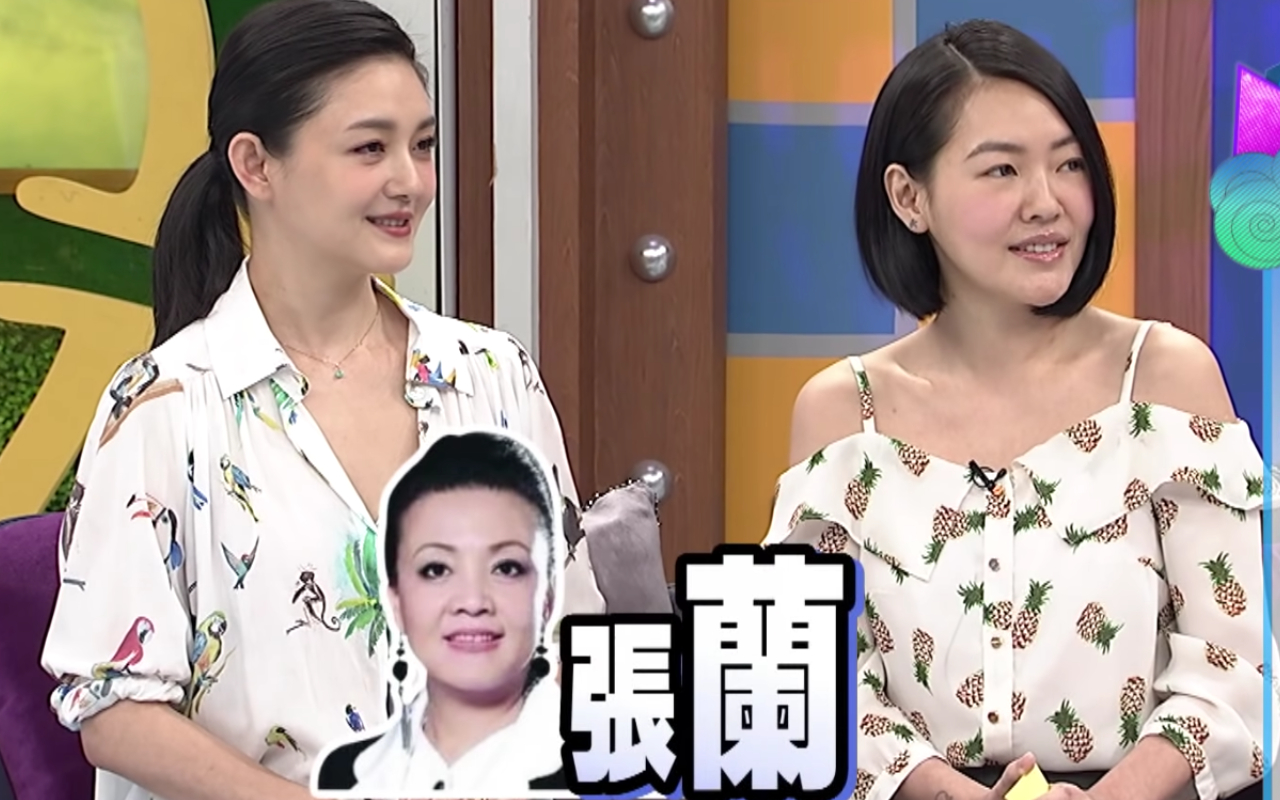 大S（左）曾在妹妹小S主持《康熙來了》透露，茹素十幾年被張蘭逼吃肉。（翻攝自我愛貓大YT頻道）