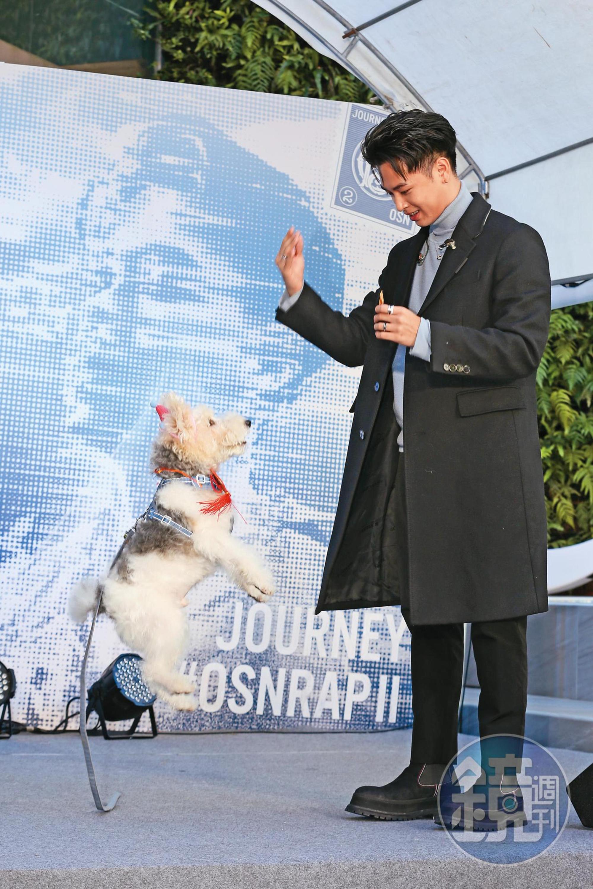 高爾宣的愛犬切切以神祕嘉賓身分,現身新專輯《Journey》發片記者會,特地表演跳躍絕活。小編也好想學,請主人調教我~(嘿嘿嘿吐舌)