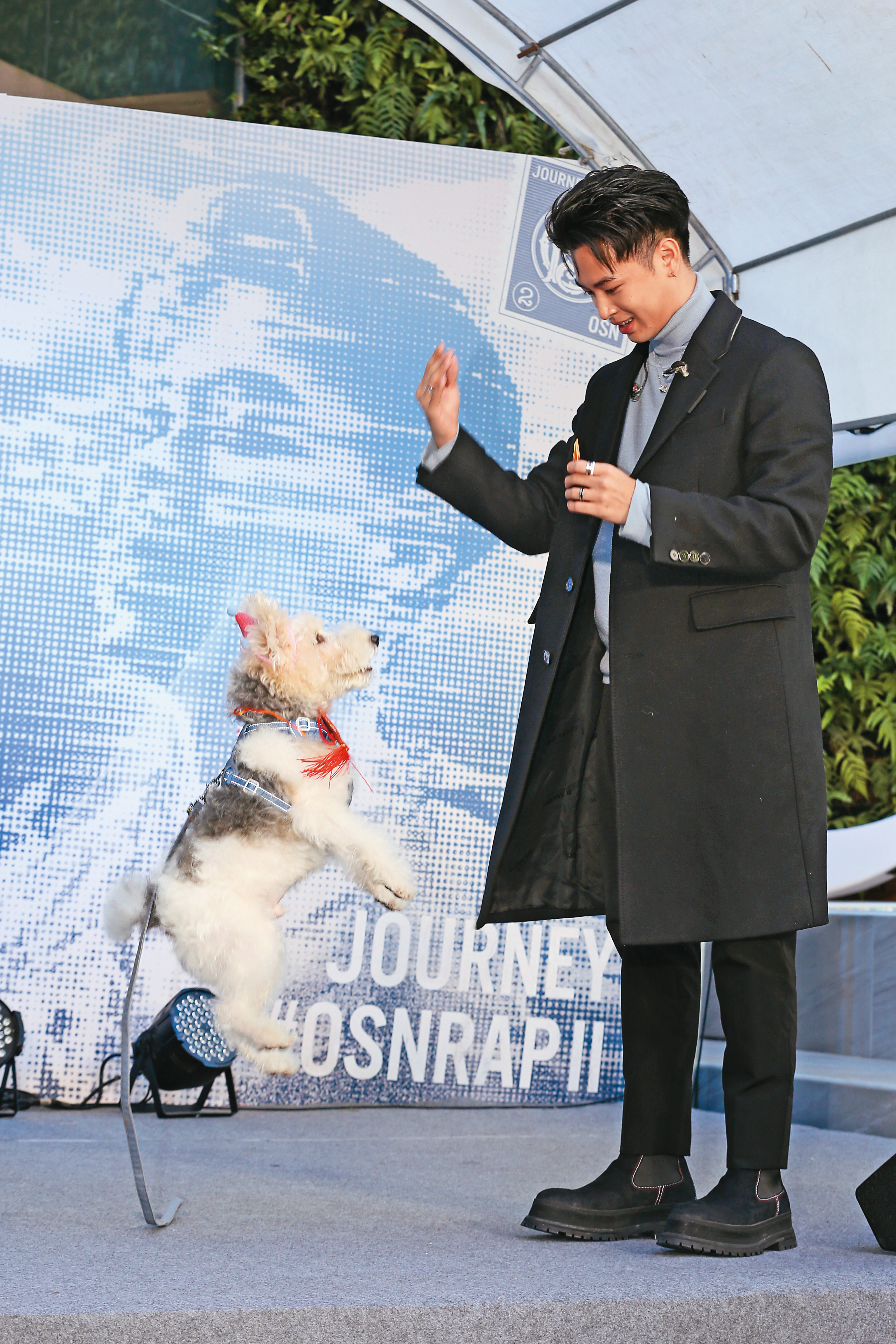 高爾宣的愛犬切切以神祕嘉賓身分,現身新專輯《Journey》發片記者會,特地表演跳躍絕活。小編也好想學,請主人調教我~(嘿嘿嘿吐舌)