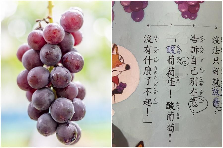 葡「萄」讀音不唸「桃」？網友曝光正解引起熱議。（photoAC、翻攝臉書）