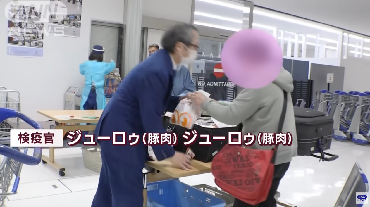 檢疫官用中文對大媽說「豬肉」，兩邊隨後上演搶奪大戰。（翻自ANN YT畫面）