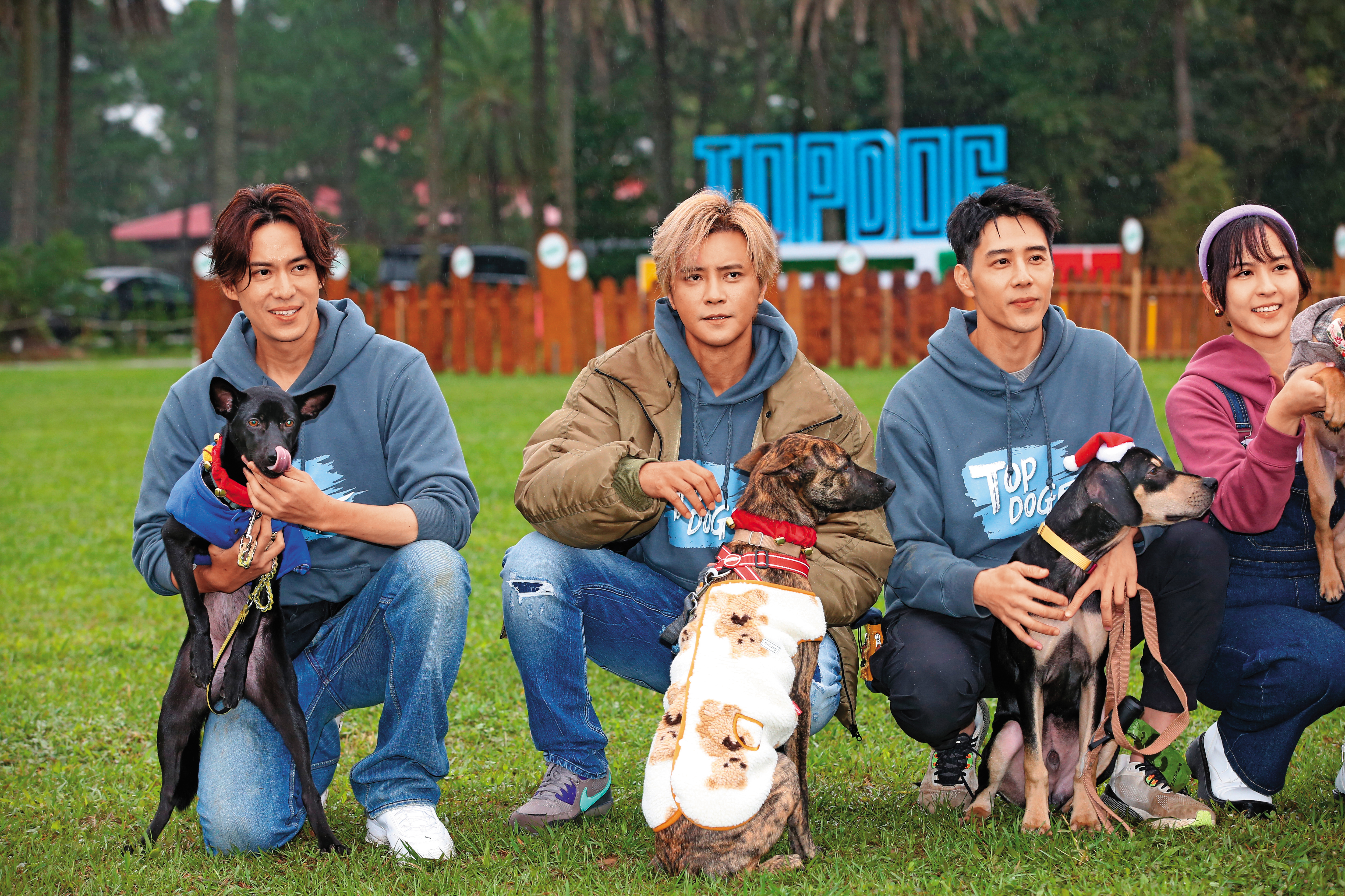 陳楚河（左起）跟羅志祥、胡宇威、魏蔓一同參加寵物實境秀《TOP DOG》，由藝人擔任中途爸媽角色，為浪浪找家。