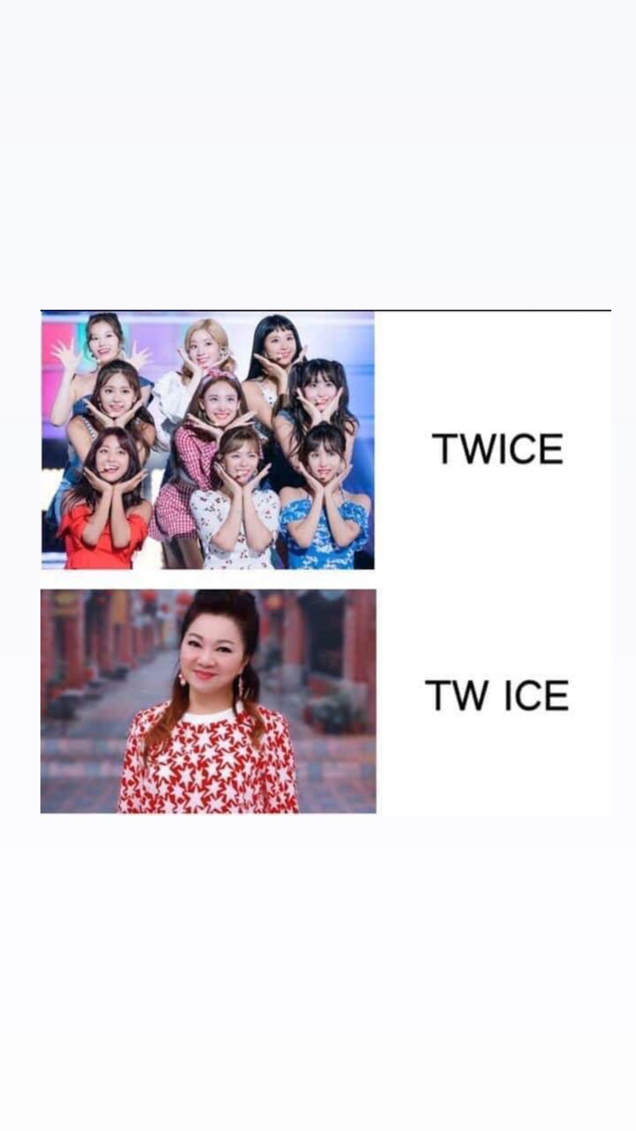 韓國有女子天團「TWICE」（上圖），我們則有國寶「TW ICE」台灣冰冰姐。（翻攝自Nick鱷魚迷因IG）
