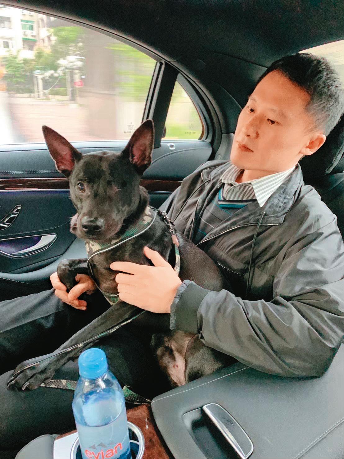 流浪狗黑寶被人打瞎一隻眼，謝銘杰請人救援治療後，在他細心照顧下已恢復帥氣。黑寶現在跟前妻米可白同住。（飛虹國際提供）