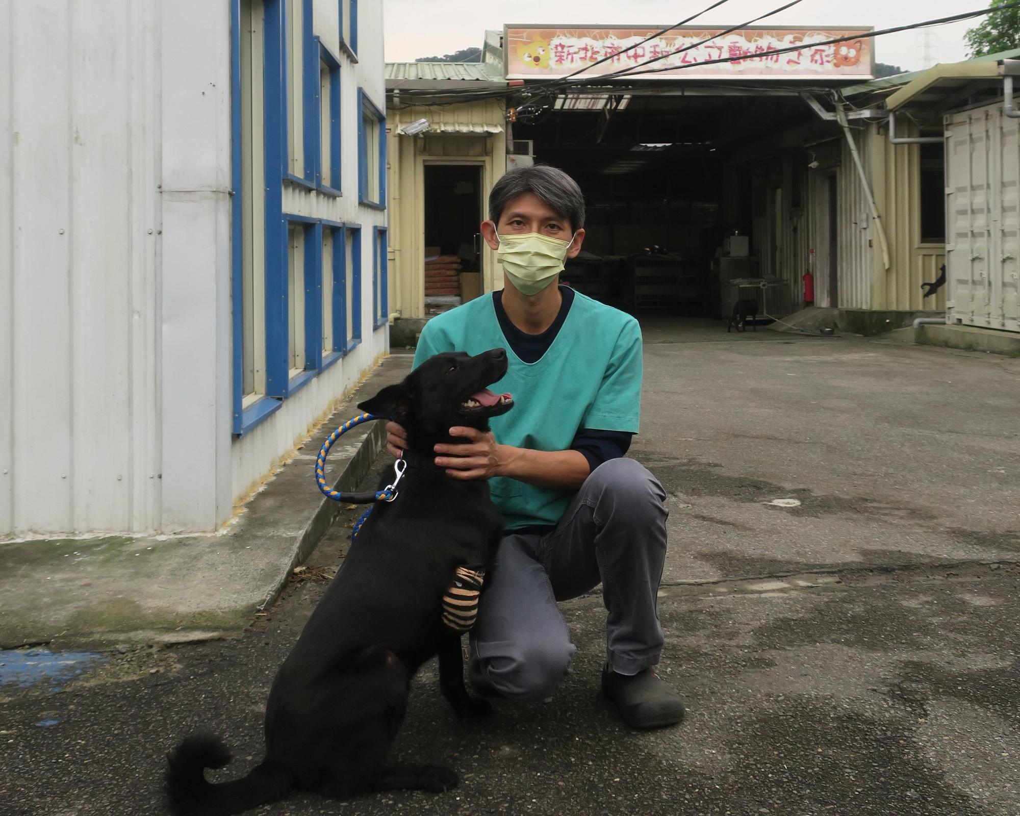 「黑妹」因左後腳肌肉萎縮骨頭外露，獸醫只得將左後腳完全截肢避免後續感染。（新北動保處提供）