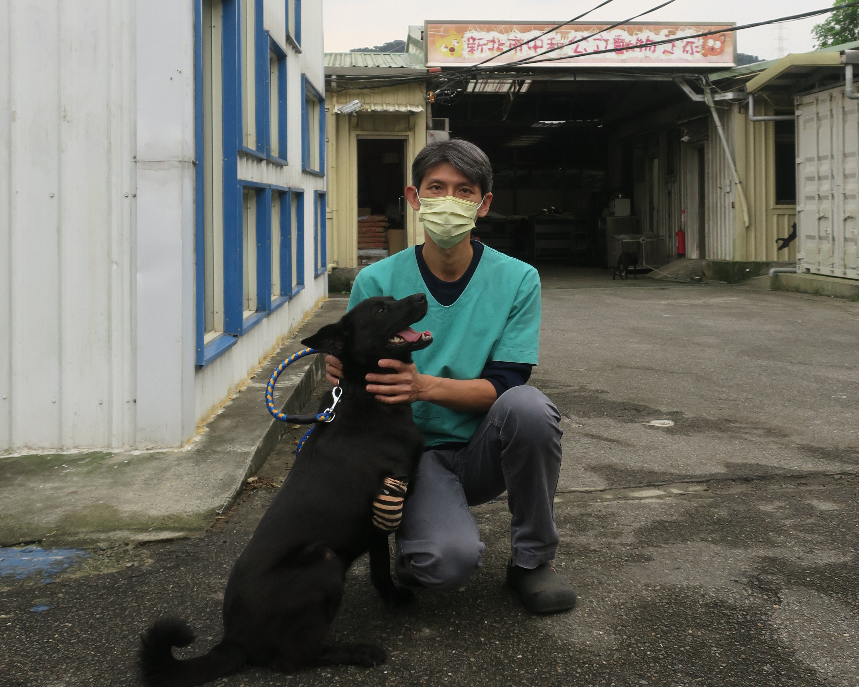 「黑妹」因左後腳肌肉萎縮骨頭外露,獸醫只得將左後腳完全截肢避免後續感染。(新北動保處提供)