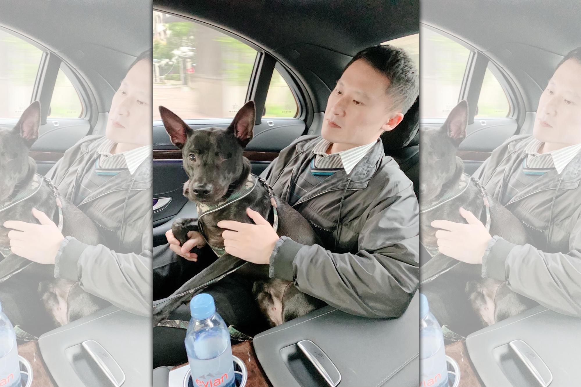 流浪狗黑寶被人打瞎一隻眼,謝銘杰請人救援治療後,在他細心照顧下已恢復帥氣。黑寶現在跟前妻米可白同住。(飛虹國際提供)