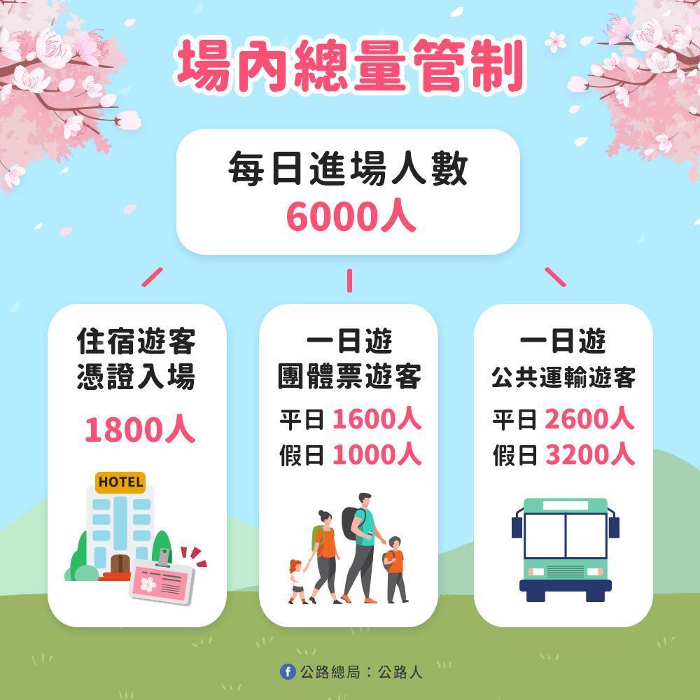 武陵農場櫻花季期間,一天只有6000名旅客能入場。(公路總局提供)