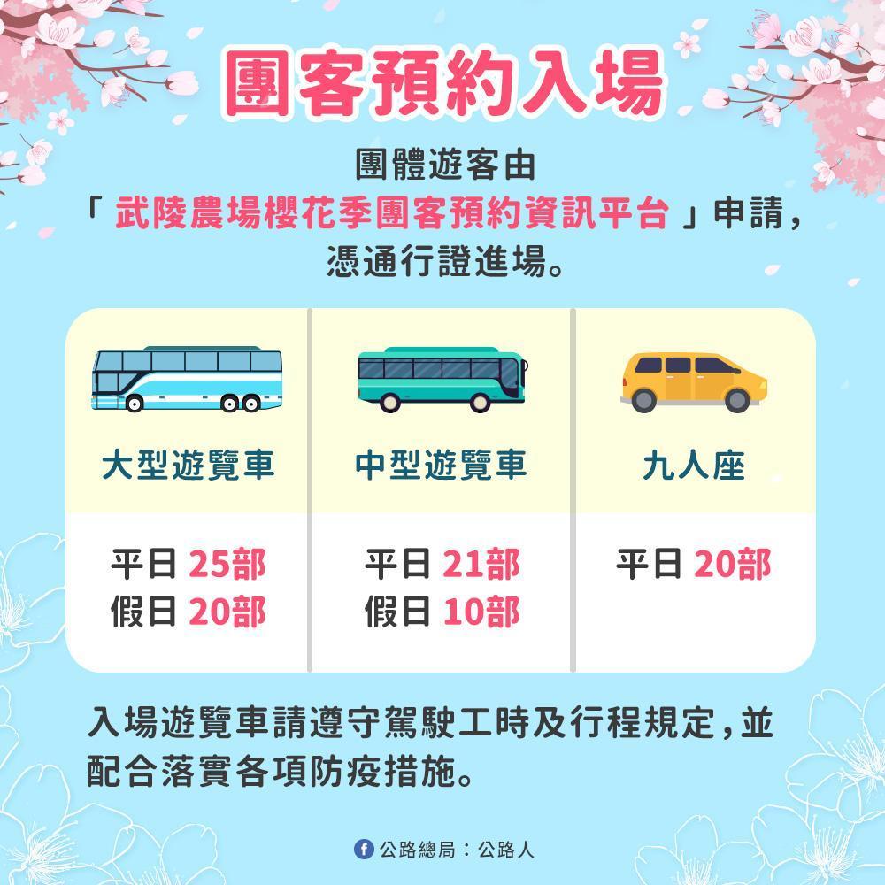 櫻花季期間平日每天開放25部大型遊覽車、21部中型遊覽車及9人座20部車輛入場;假日則調整為20部、10部,沒有9人座車輛。(公路總局提供)