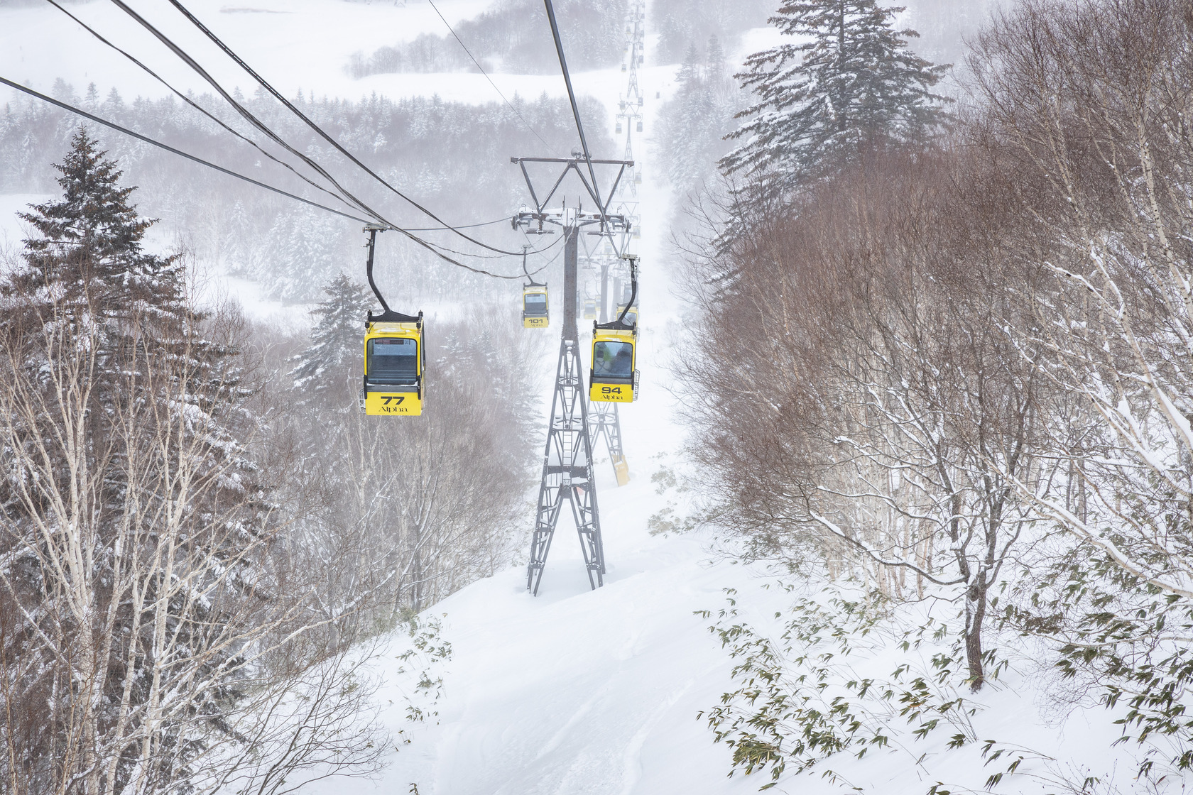 纜車載著嚮往雪景的旅客，登上海拔1,088公尺山頭。