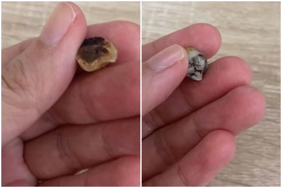 一名人妻透露近日帶兒子到好市多喝好市多的蛤蜊濃湯時，喝到一半竟喝到一顆斷裂的牙齒。（翻攝自「Costco好市多 商品經驗老實說」臉書）