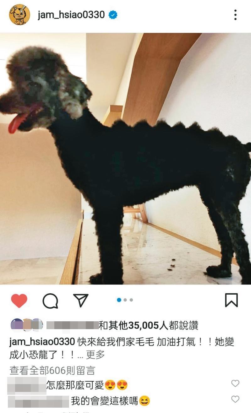蕭敬騰有空就幫家中的狗狗整理門面,把黑貴賓毛毛剪成小恐龍。(翻攝自蕭敬騰IG)