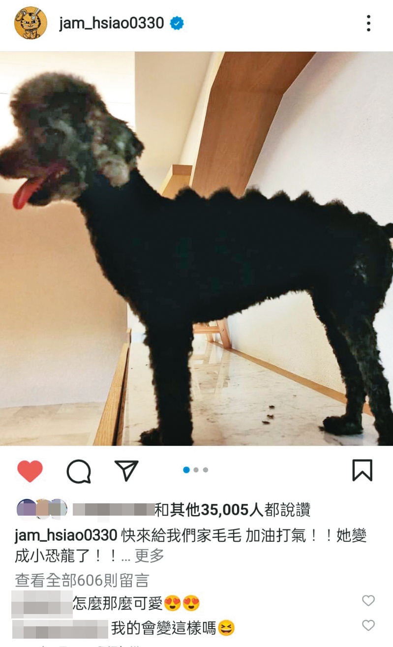 蕭敬騰有空就幫家中的狗狗整理門面，把黑貴賓毛毛剪成小恐龍。（翻攝自蕭敬騰IG）