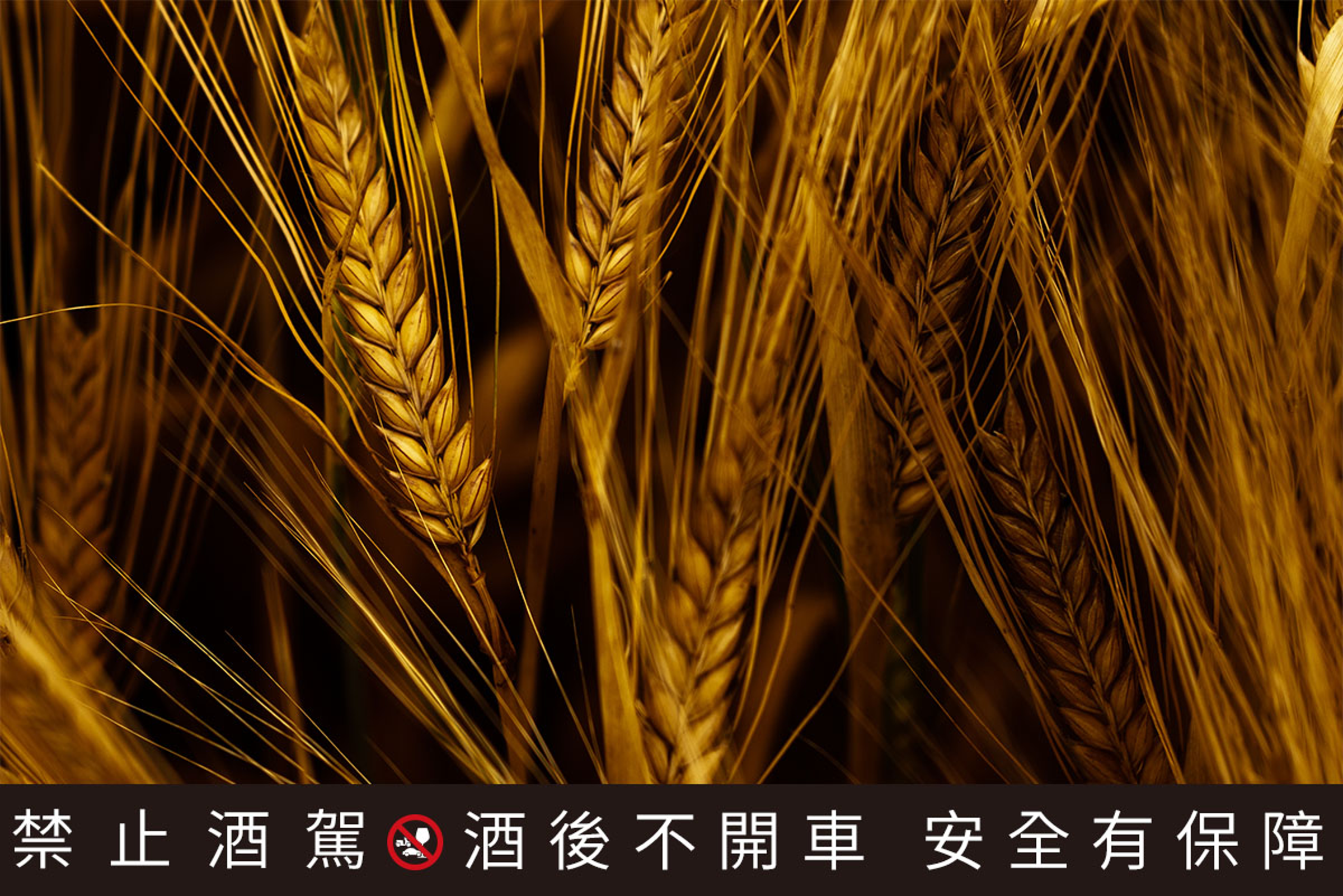 拉菲德1.1單一麥芽威士忌：一開始是溫和丁香，麵包和麥芽餅乾氣息，舌根則有蜜瓜和梨子滋味，尾韻溫暖悠長。
