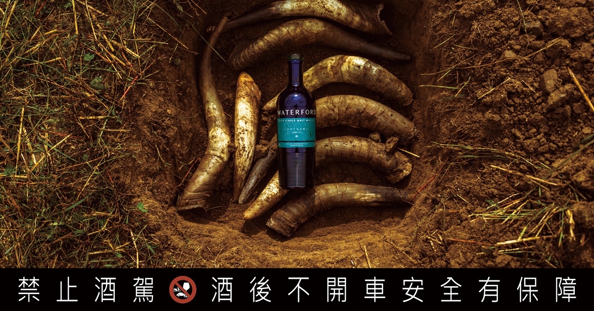 【醇順風土學特輯】愛爾蘭沃特福單一麥芽威士忌　頂尖大麥．風土淬鍊