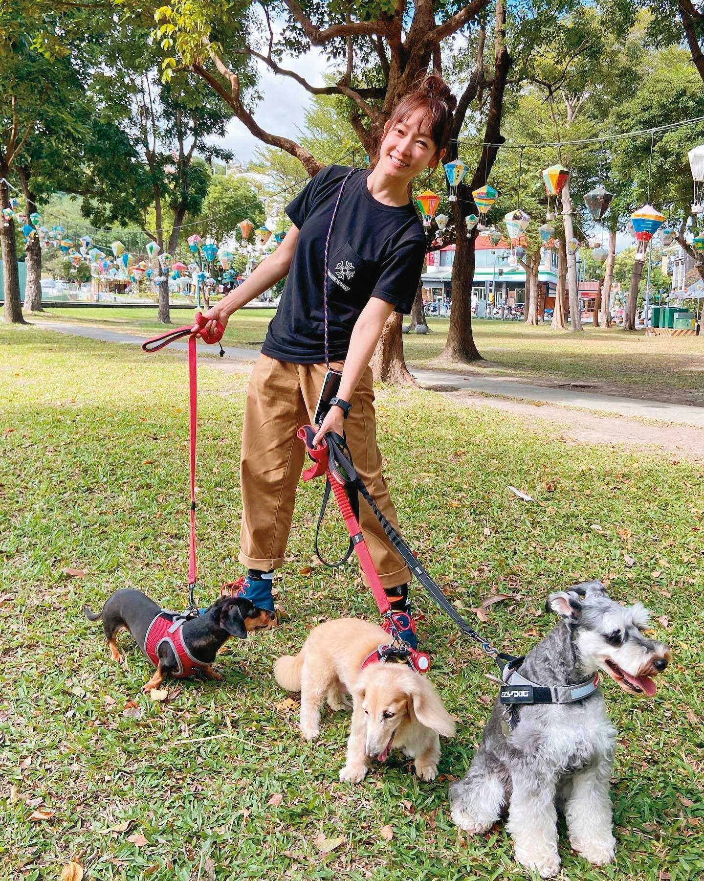當收養的奶油長毛臘腸樂樂(中)還在時,潘慧如曾帶家裡的所有狗狗一起去旅行。(翻攝自潘慧如臉書)