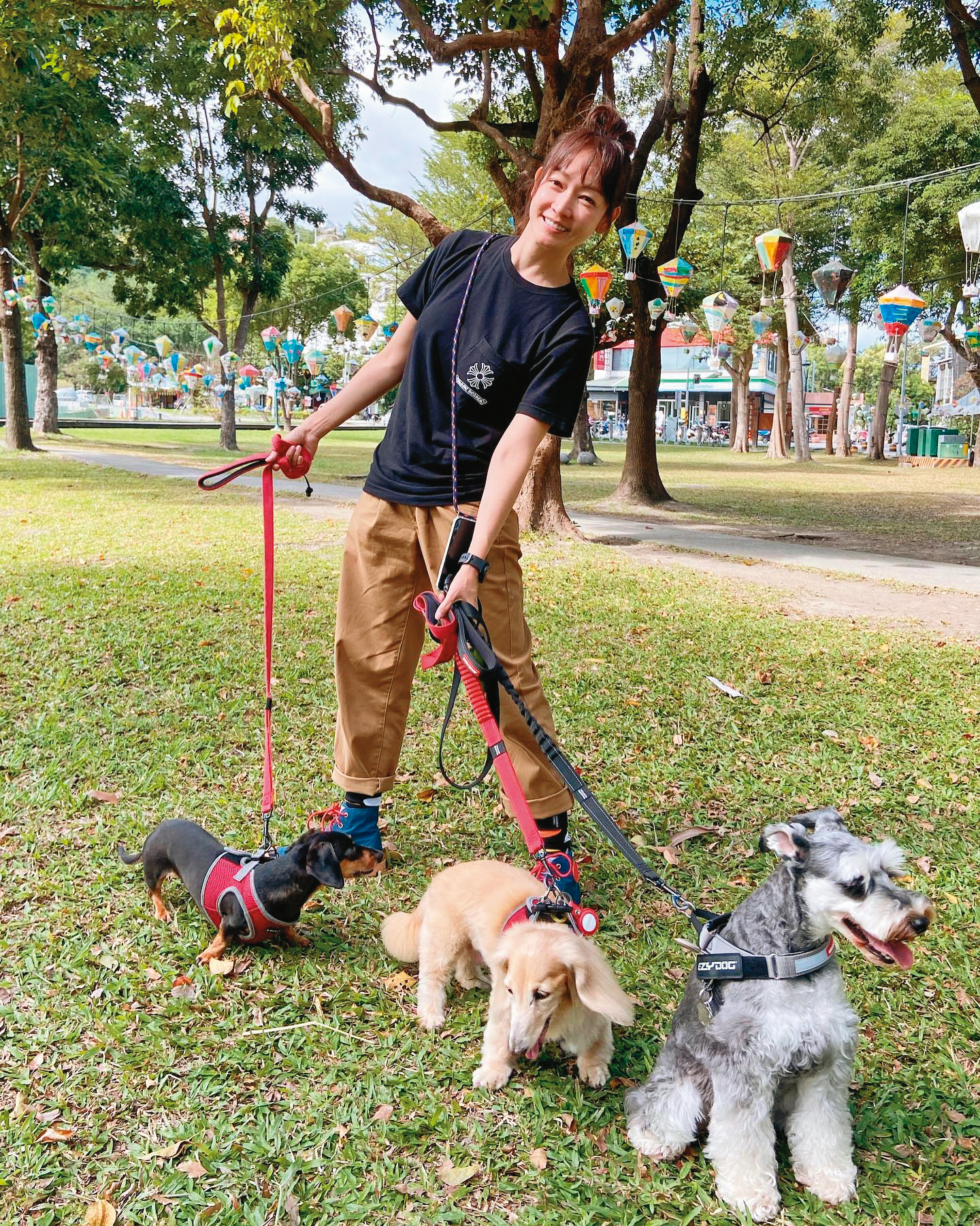 當收養的奶油長毛臘腸樂樂(中)還在時,潘慧如曾帶家裡的所有狗狗一起去旅行。(翻攝自潘慧如臉書)