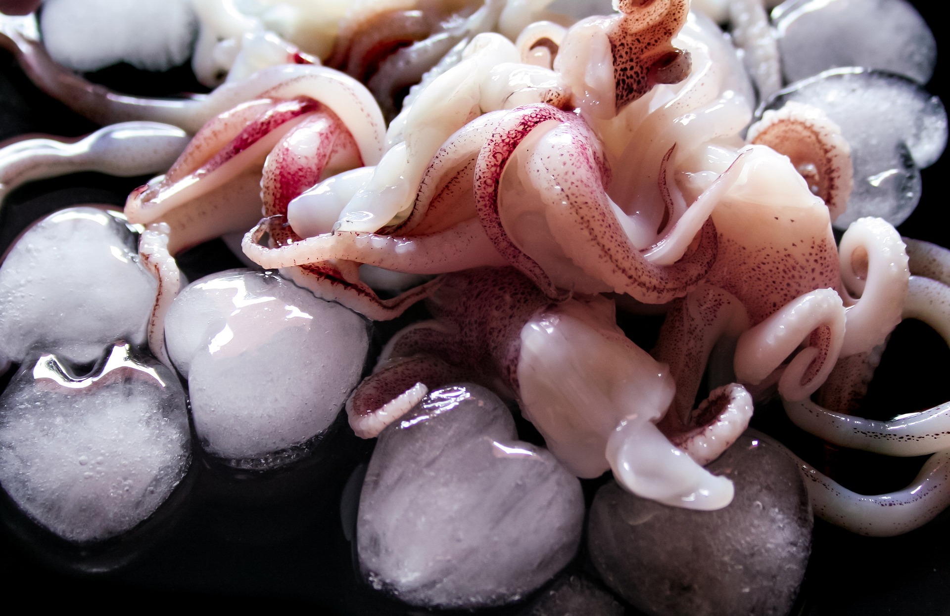 南韓一名婦人生吃魷魚，沒想到咬下魷魚的精囊袋，瞬間活生生的精子在她口中擴散。（示意圖，pixabay）