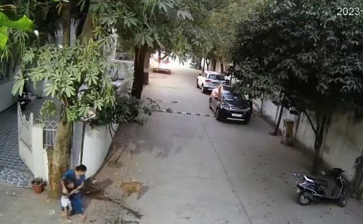 女童母親將女兒護衛在側,流浪犬仍兇猛朝她們吠叫。(翻攝推特@GujaratTak)