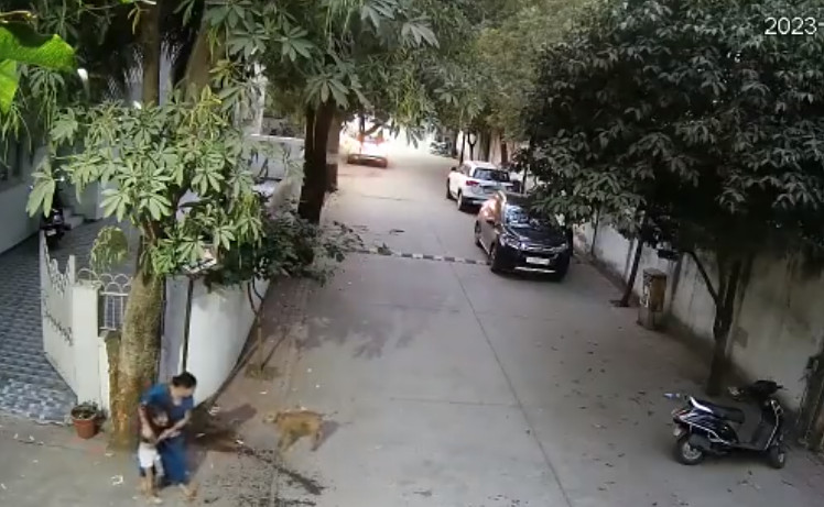 女童母親將女兒護衛在側，流浪犬仍兇猛朝她們吠叫。（翻攝推特@GujaratTak）