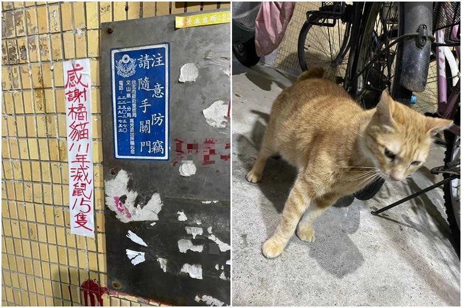 網友分享台北市某社區外公告「感謝橘貓111年滅鼠15隻」,吸引大批網友按讚。(翻攝自臉書社團路上觀察學院)