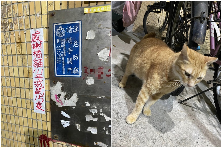 網友分享台北市某社區外公告「感謝橘貓111年滅鼠15隻」，吸引大批網友按讚。（翻攝自臉書社團路上觀察學院）