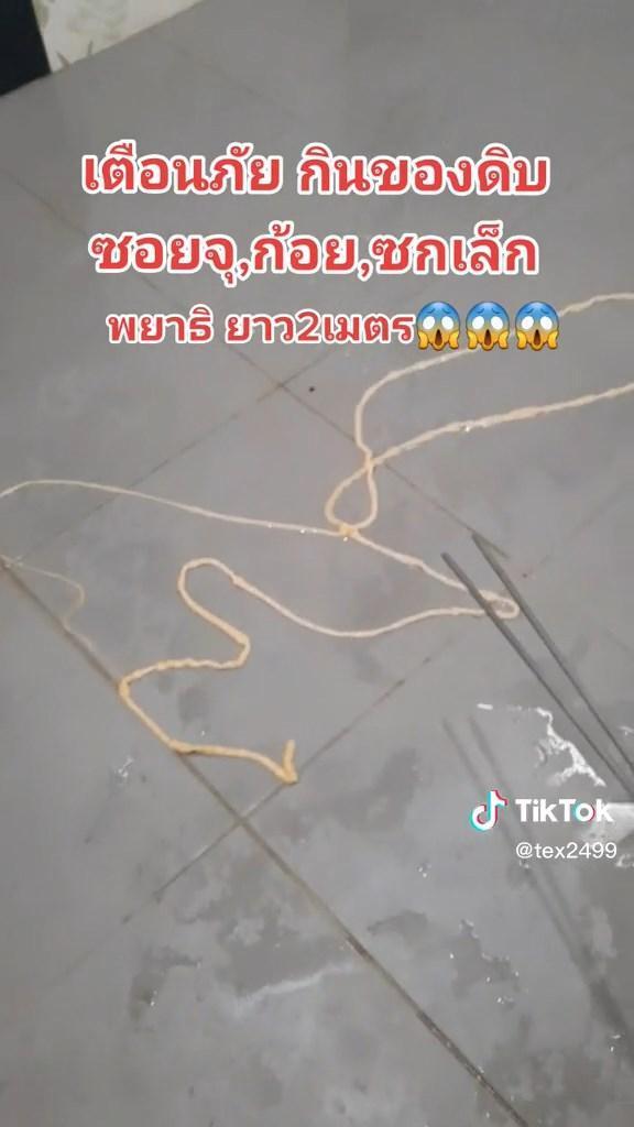 寄生蟲還在地上蠕動。（翻自TikTok）