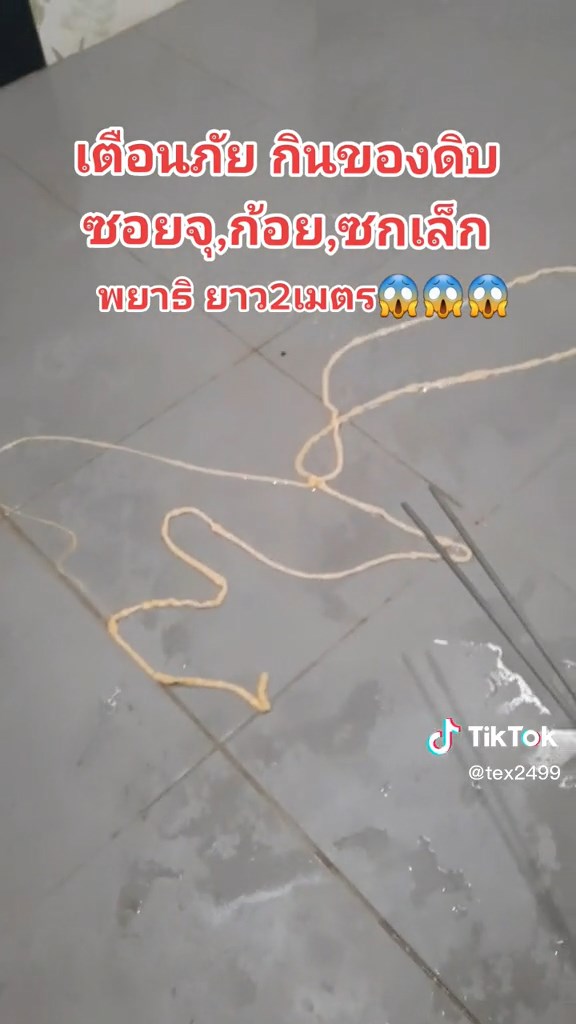 寄生蟲還在地上蠕動。（翻自TikTok）