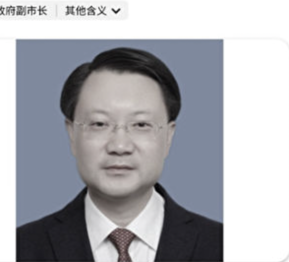涉事副市長韋峰。（翻攝網路）