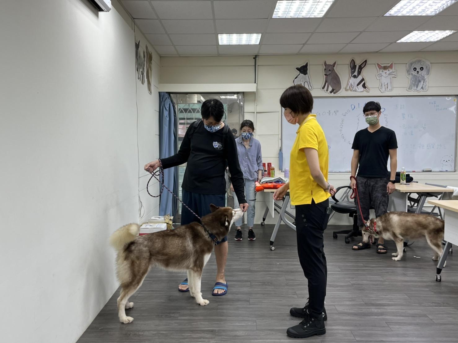 動保處開設的行為課程廣受歡迎。(新北動保處提供)