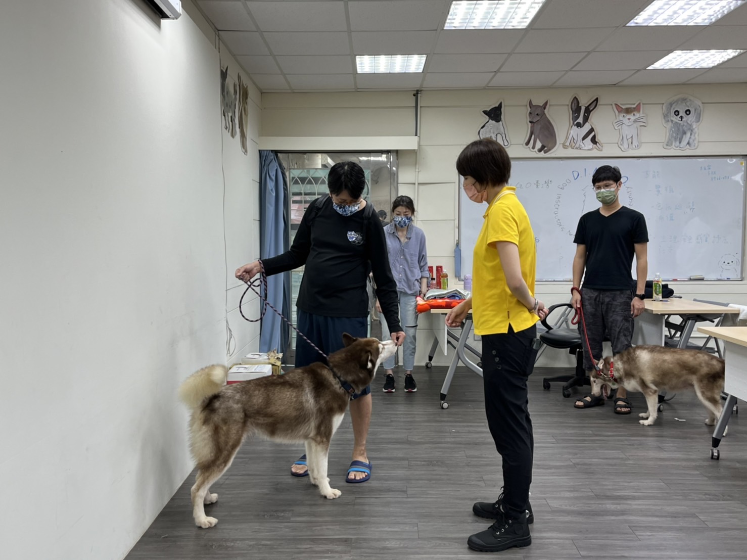 動保處開設的行為課程廣受歡迎。（新北動保處提供）