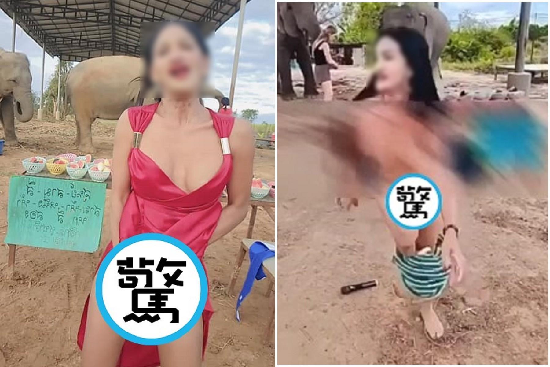 「露奶妹」有考慮大象感受嗎？當眾脫褲做猥褻動作，讓人拳頭硬了。（翻自臉書）