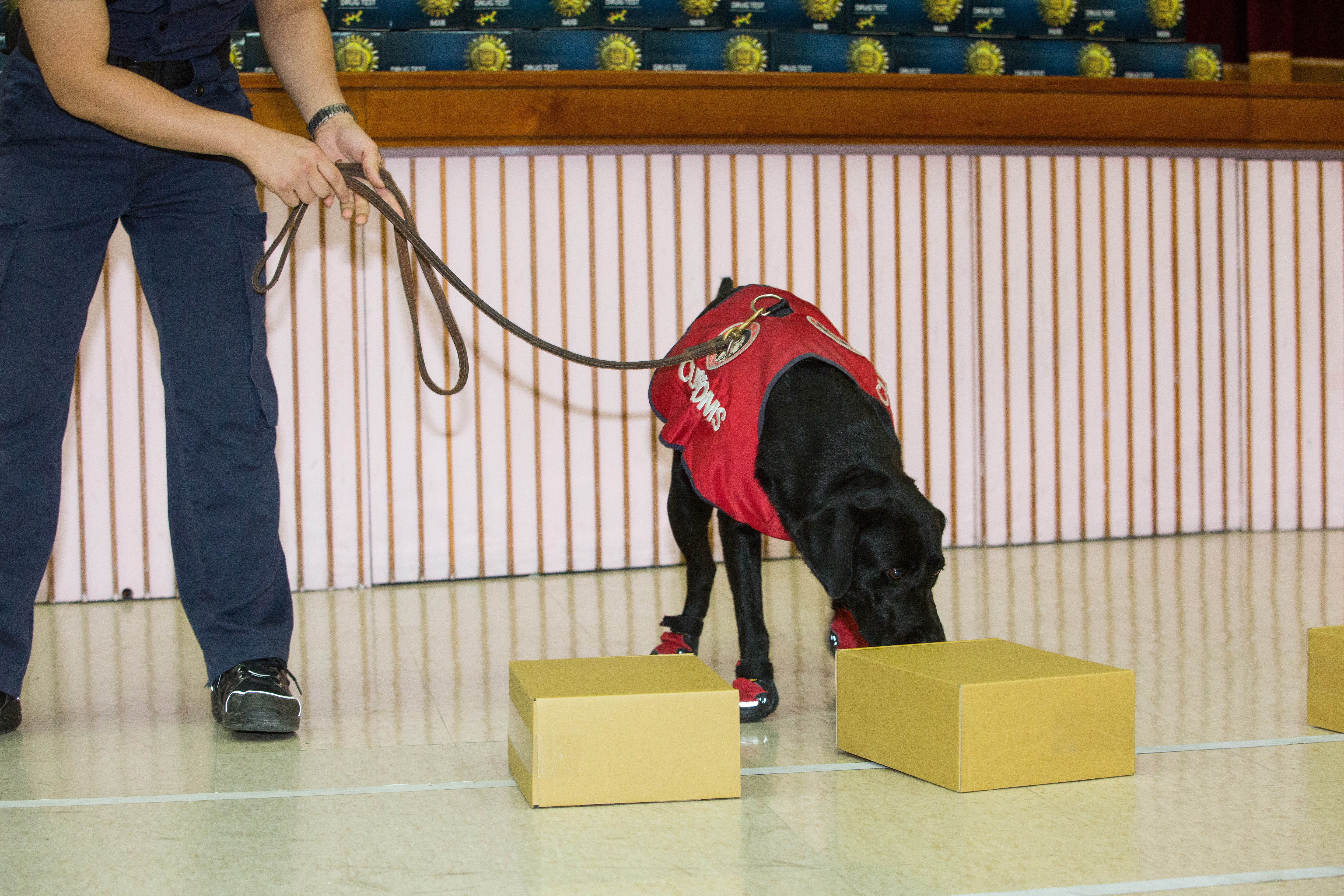 為強力打擊製造、運輸、販賣毒品犯罪，台灣已修法加重相關罪責。圖為緝毒犬。（示意圖，本刊資料照）